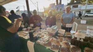 Feria departamental de la agricultura familiar reúne a productores de todo Concepción con masiva concurrencia ciudadana