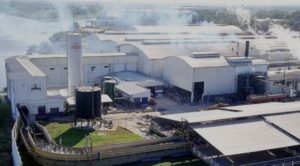 Frigorifico Concepción busca salvarse de la crisis
