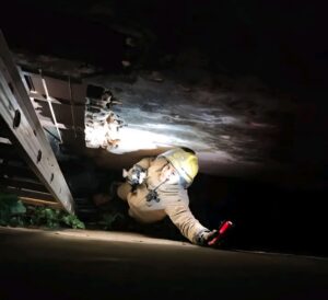Bomberos rescatan a un gato atrapado entre dos viviendas en Concepción