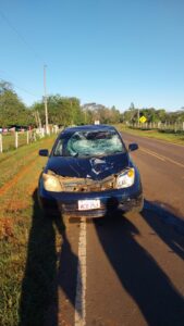 Vaca se cruzó en la ruta y provocó un choque en Loreto