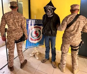 Recuperan ternero robado y detienen a joven sospechoso de abigeato en Horqueta