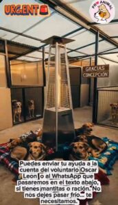 Pro animal solicita ayuda para adquirir un calefactor