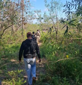 Denuncian abigeato en zona rural de Loreto: desaparece una vaca lechera