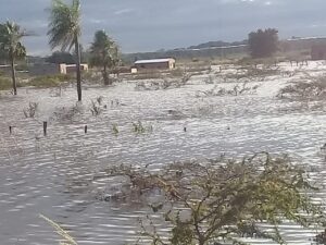 Urgen obras de canalización para evitar inundaciones en Concepción