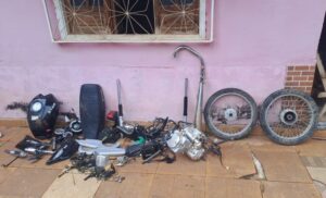 Recuperan accesorios de motocicleta hurtada en una zona boscosa de Loreto