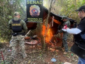 Incineran 20 kilos de semillas de marihuana durante allanamiento en Yby Yaú