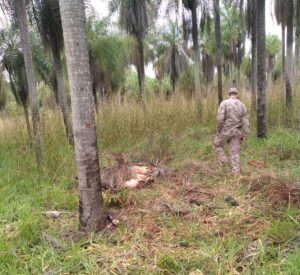 Abigeos atacan en dos zonas de Horqueta