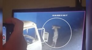 Ingresó por la muralla y hurtó bolsas de cemento de un local de materiales en Concepción