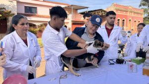 Campaña gratuita de sanitación y vacunación antirrábica llegará a tres barrios de Concepción
