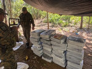 Incautan más de 470 kilos de presunta marihuana en el Parque Nacional Paso Bravo
