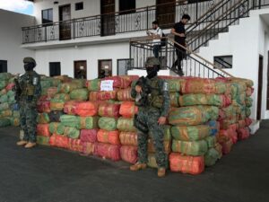 Desentierran 40 toneladas de marihuana de 23 caletas en el Parque Nacional Paso Bravo
