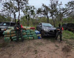 Miles de kilogramos de marihuana en 23 caletas halladas en Paso Bravo