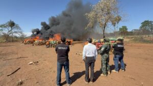 Incineran más de 40 toneladas de marihuana incautadas en la Operación Paso Bravo