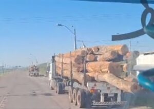 Preocupación ciudadana por el traslado de rollos en la Ruta PY22