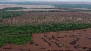 MADES verifica presunto cambio de uso de suelo en Curuzú de Hierro
