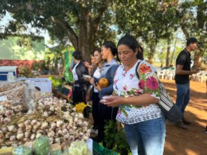 OCN prepara la 6.ª edición de la Fiesta de la Semilla